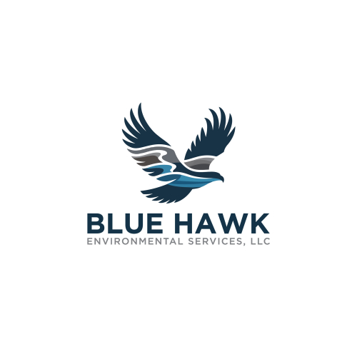 Blue Hawk