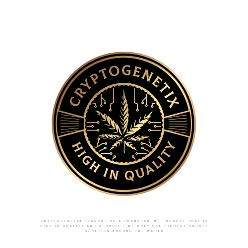 Doctor season 1 christmas special